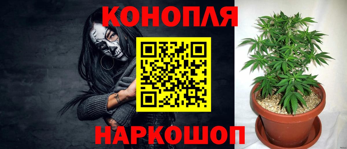 Бошки Шишки AK-47  Вход с VPN  Каннабис Bruce Banner  Мценск  Марихуана Amnesia 